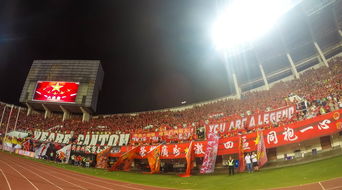 乐鱼体育-场馆设施翻新完成比赛场地改造计划推进，场馆设计方案  第1张