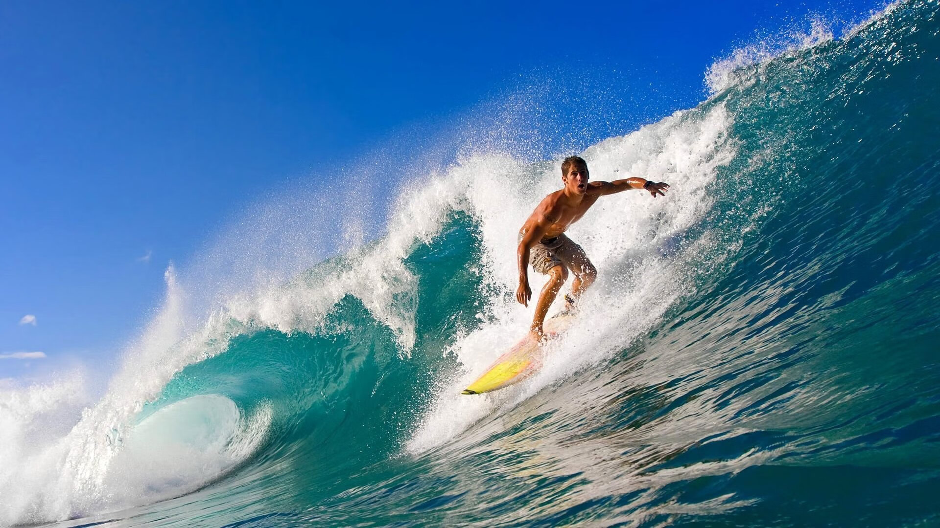 乐鱼体育平台-“新都福乐球赛：冠军争夺战火爆来袭”  第5张